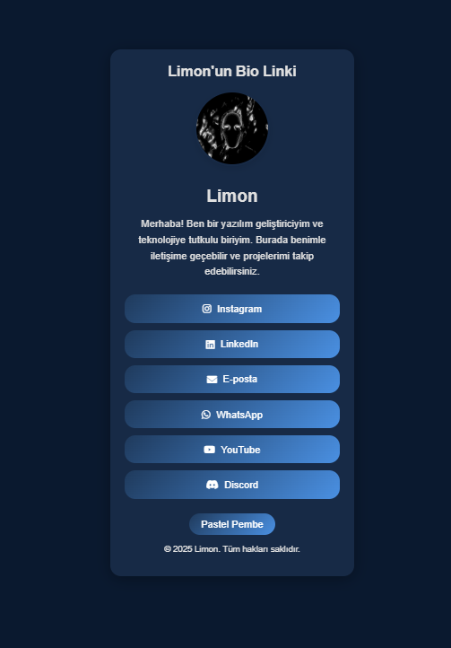 Link Bio - 4 temalı proje görseli